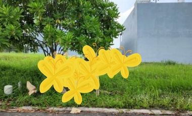 Di Jual Tanah Kavling Grand City cluster Premium Pineville Bppn  IKN