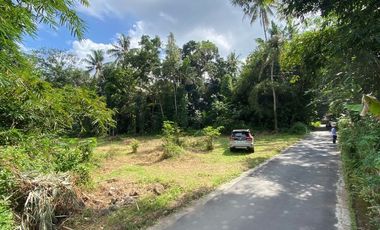 Tanah Pekarangann di Barat Kantor BPN Sleman