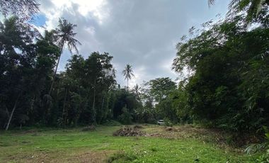 Tanah Pekarangann di Barat Kantor BPN Sleman