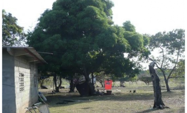 SAN CARLOS / SAN JOSE / TERRENO 2.3 HECTAREAS / POZO DE AGUA JC