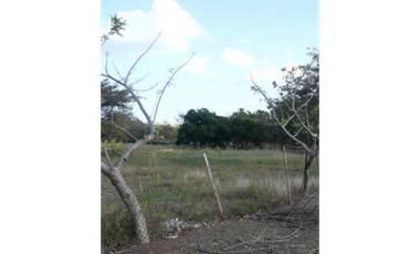 SAN CARLOS / SAN JOSE / TERRENO 2.3 HECTAREAS / POZO DE AGUA JC