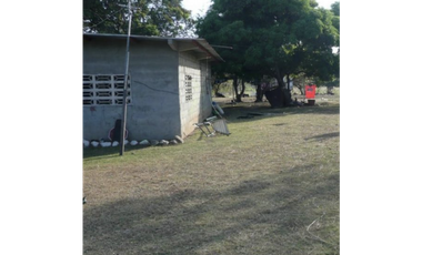 SAN CARLOS / SAN JOSE / TERRENO 2.3 HECTAREAS / POZO DE AGUA JC