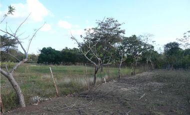 SAN CARLOS / SAN JOSE / TERRENO 2.3 HECTAREAS / POZO DE AGUA JC