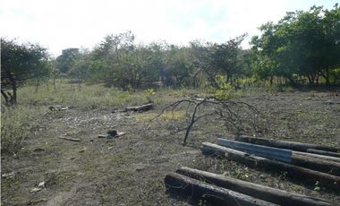 SAN CARLOS / SAN JOSE / TERRENO 2.3 HECTAREAS / POZO DE AGUA JC