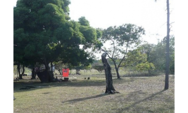 SAN CARLOS / SAN JOSE / TERRENO 2.3 HECTAREAS / POZO DE AGUA JC