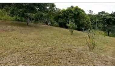 VENDO TERRENO EN LA CHORRERA EL COCO BARRIADA POTRERO GRANDE MTS2400