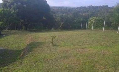 VENDO TERRENO EN LA CHORRERA EL COCO BARRIADA POTRERO GRANDE MTS2400