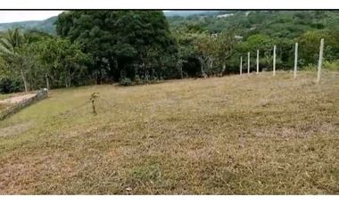 VENDO TERRENO EN LA CHORRERA EL COCO BARRIADA POTRERO GRANDE MTS2400