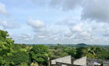 VENDO TERRENO EN LA CHORRERA EL COCO BARRIADA POTRERO GRANDE MTS2400