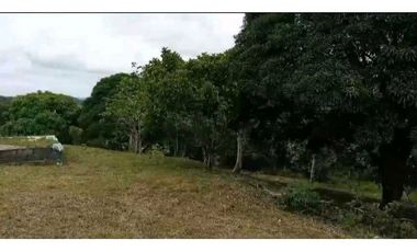VENDO TERRENO EN LA CHORRERA EL COCO BARRIADA POTRERO GRANDE MTS2400