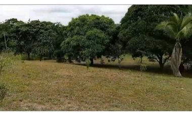VENDO TERRENO EN LA CHORRERA EL COCO BARRIADA POTRERO GRANDE MTS2400