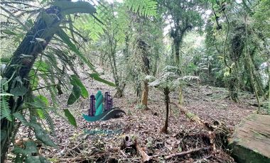 VENDO 2HECTAREAS Y 4000MTS EN ALTITUD DE 1730M.S.N.M. TITULADO