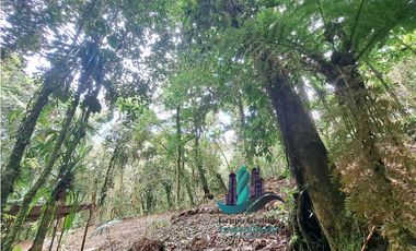 VENDO 2HECTAREAS Y 4000MTS EN ALTITUD DE 1730M.S.N.M. TITULADO