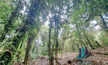 VENDO 2HECTAREAS Y 4000MTS EN ALTITUD DE 1730M.S.N.M. TITULADO