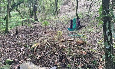 VENDO 2HECTAREAS Y 4000MTS EN ALTITUD DE 1730M.S.N.M. TITULADO