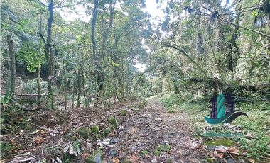 VENDO 2HECTAREAS Y 4000MTS EN ALTITUD DE 1730M.S.N.M. TITULADO