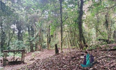 VENDO 2HECTAREAS Y 4000MTS EN ALTITUD DE 1730M.S.N.M. TITULADO