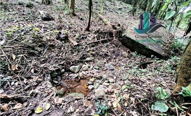 VENDO 2HECTAREAS Y 4000MTS EN ALTITUD DE 1730M.S.N.M. TITULADO