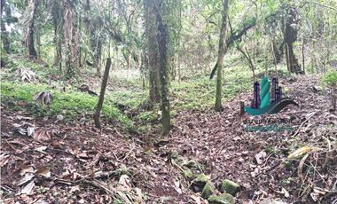 VENDO 2HECTAREAS Y 4000MTS EN ALTITUD DE 1730M.S.N.M. TITULADO