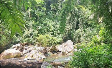 VENDO 2HECTAREAS Y 4000MTS EN ALTITUD DE 1730M.S.N.M. TITULADO