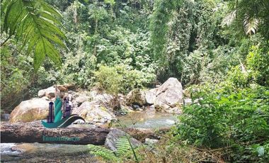 VENDO 2HECTAREAS Y 4000MTS EN ALTITUD DE 1730M.S.N.M. TITULADO