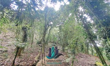 VENDO 2HECTAREAS Y 4000MTS EN ALTITUD DE 1730M.S.N.M. TITULADO