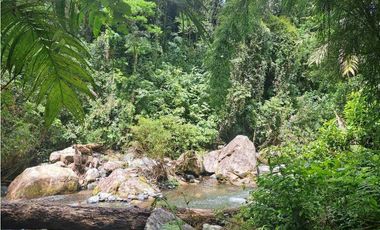 VENDO 2HECTAREAS Y 4000MTS EN ALTITUD DE 1730M.S.N.M. TITULADO