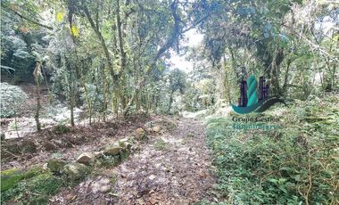 VENDO 2HECTAREAS Y 4000MTS EN ALTITUD DE 1730M.S.N.M. TITULADO