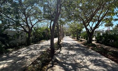 Terreno en venta  Privada Kinish en Cholul, Mérida Yucatán