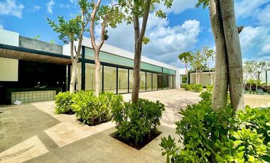 Terreno en venta  Privada Kinish en Cholul, Mérida Yucatán