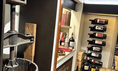 GRAN RESIDENCIA EN PEDREGAL