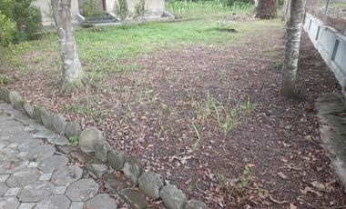 Rumah atau Kantor 1 Lantai Luas, Terjangkau, dan Nyaman