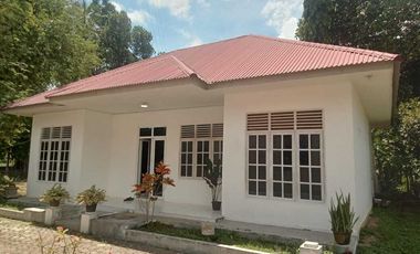 Rumah atau Kantor 1 Lantai Luas, Terjangkau, dan Nyaman