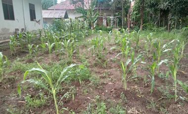 Rumah atau Kantor 1 Lantai Luas, Terjangkau, dan Nyaman