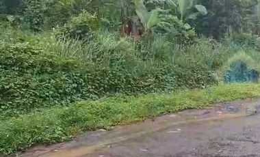 Jual tanah Industri di Jl Raya sampay, cileles, Lebak - Banten