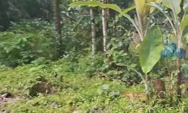 Jual tanah Industri di Jl Raya sampay, cileles, Lebak - Banten