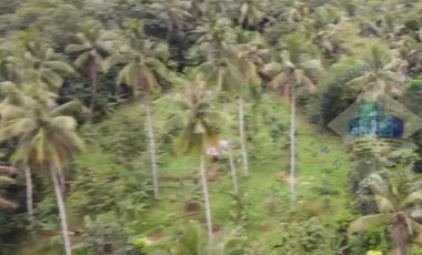 Jual tanah Industri di Jl Raya sampay, cileles, Lebak - Banten