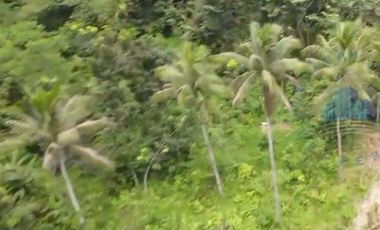 Jual tanah Industri di Jl Raya sampay, cileles, Lebak - Banten