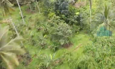 Jual tanah Industri di Jl Raya sampay, cileles, Lebak - Banten