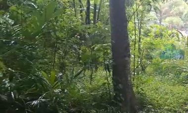 Jual tanah Industri di Jl Raya sampay, cileles, Lebak - Banten