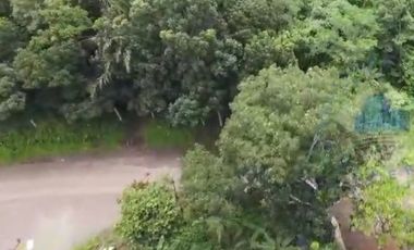 Jual tanah Industri di Jl Raya sampay, cileles, Lebak - Banten