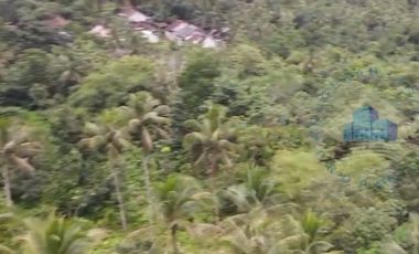 Jual tanah Industri di Jl Raya sampay, cileles, Lebak - Banten