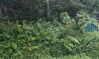 Jual tanah Industri di Jl Raya sampay, cileles, Lebak - Banten