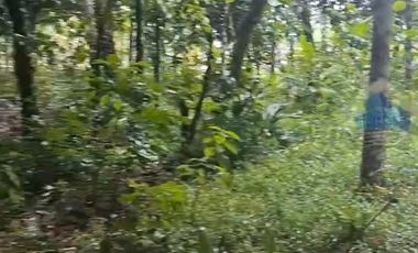 Jual tanah Industri di Jl Raya sampay, cileles, Lebak - Banten