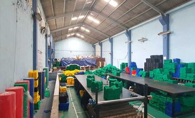 DIJUAL GUDANG EKS KOLAM BUDIDAYA IKAN KOI BONUA RUMAH GRIYALOKA BSD