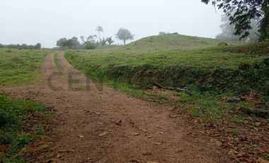 12300M2 EN VENTA - PEDRO VICENTE MALDONADO