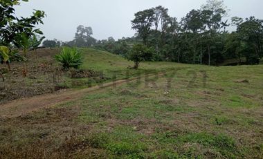 12300M2 EN VENTA - PEDRO VICENTE MALDONADO