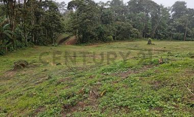 12300M2 EN VENTA - PEDRO VICENTE MALDONADO