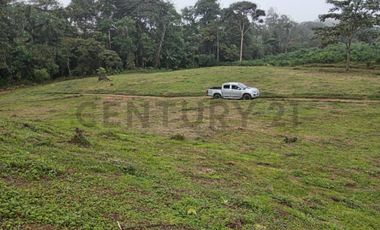 12300M2 EN VENTA - PEDRO VICENTE MALDONADO