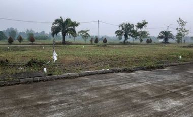 Kavling Strategis di Cluster Padma, Maja – Investasi Cerdas Mulai dari